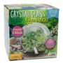 Seed Starting Terrarium – Crystal Glass Garden